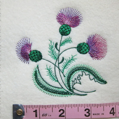 Sketch Thistle